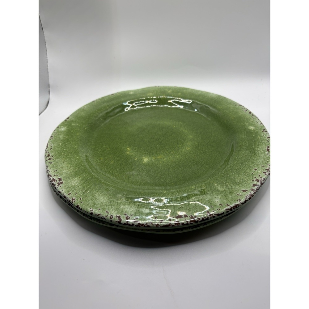 Pier 1 Imports Carmelo Green Crackle Melamine 11" Plates Set of 2
